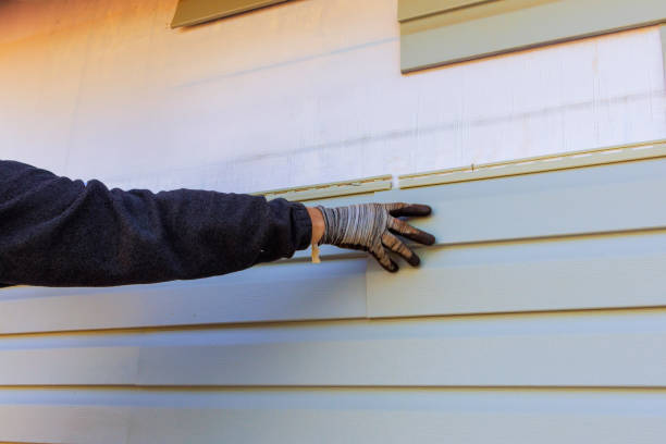 Best Steel Siding Installation  in Dayton, TN